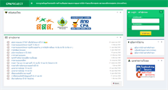Desktop Screenshot of cpaproject.com